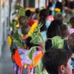 Sonnenblumen